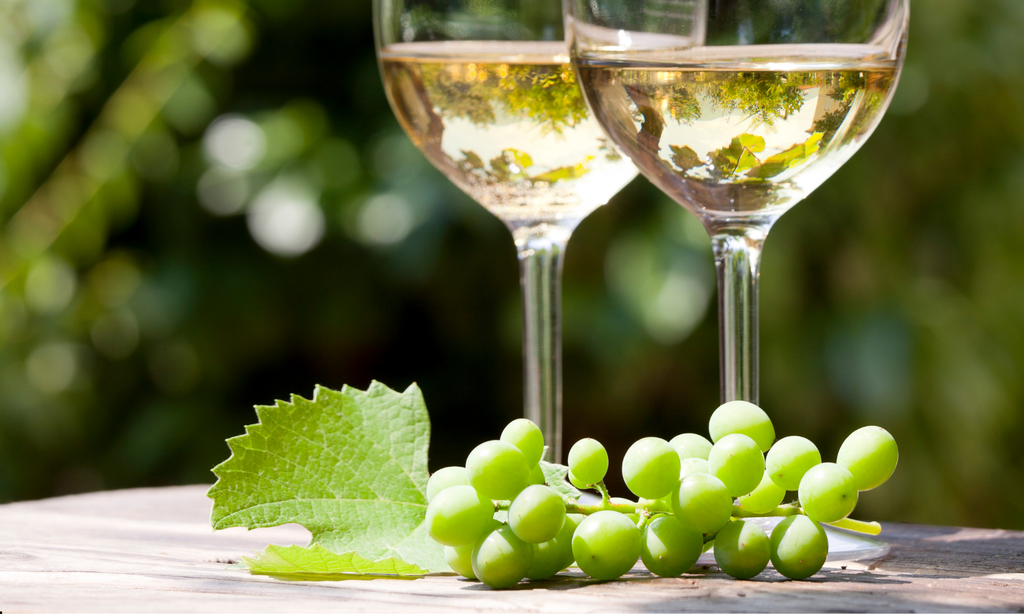 Valkoiset rypäleet: Oppaasi Chardonnay'hin, Sauvignon Blanciin, Rieslingiin ja Pinot Grigioon