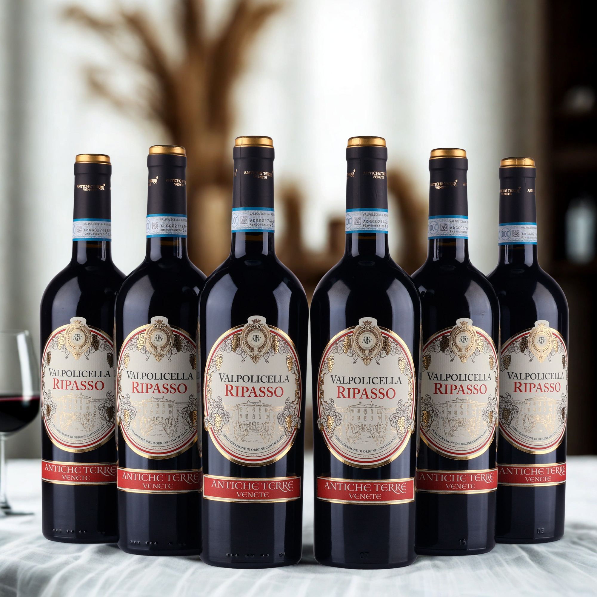 Ripasso Valpolicella D.O.C - 2022