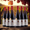 Domaine les cassanets - côtes du rhône - 2022