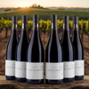 Romain Duvernay Côtes du Rhône - 2021 - 13,5%