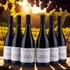Parcelles Des Anges - Pinot Noir 2024 - 12,5%