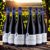 Domaine Trenet Bourgogne - Hautes-Côtes de Beaune 2023