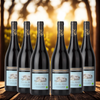 Romain Duvernay - Clos Des Mûres - Côtes du Rhône - 2018 - Luomu