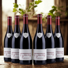 Bourgogne Gamay - Vignerons de Bel Air - 2023