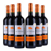 Château Le Vinata - 2019