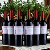 Château de Fayolle - 2020 - Luomuviini 🌿