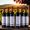 Cháteau de Fayolle Trances Du Sanglier - Bergerac - 2022