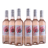 Corail Cinsault Roseeviini - IGP Pays d'OC - 2024