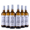 Correcto Sauvignon Blanc - Bodegas Alcardet - 2024 (vegaaniselta viinitilalta)