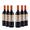 Corte Vigna - Cabernet Sauvignon - 11,5%