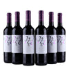 Mi Villa Rioja Punaviini 2024