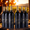 PRONTO Primitivo – Puglia IGT - 2024