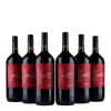 Pronto - Zinfandel Magnum 1.5Ltr
