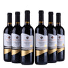 Puntalevante Primitivo Puglia IGT - 2024