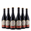 Ripasso Valpolicella - Superiore D.O.C. Antiche Terre - 2022