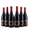 Rosso Veneto Appasimento IGT - Italialainen mini Amarone - 2021 - 14%