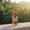 Bacardi - Anejo Cuatro - 4 vuoden Rommi - 40%