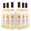 Sol de Castillas - Puoli makea - 11%